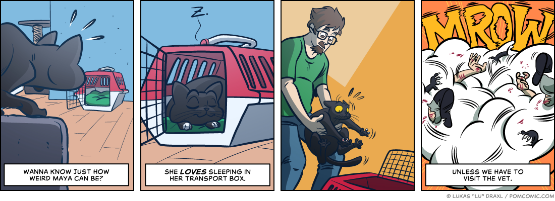 Piece of Me. A webcomic about cats in transport boxes.